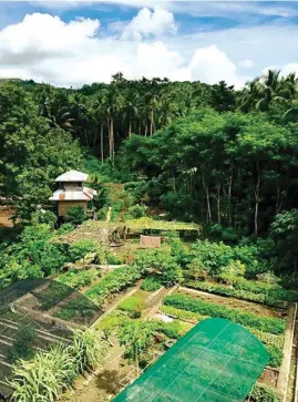  ??  ?? The Palarca Tourism Farm strictly practices natural farming methods. This is a demo farm as well as a learning site for the Agricultur­al Training Institute-Regional Training Center (ATI-RTC XIII) in the Caraga Region.