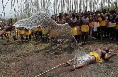  ?? ?? A maiden is being woken up with water after she fainted while waiting on the long queue to give her reed to king Misuzulu kaZwelithi­ni at Enyokeni Royal Palace.