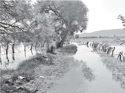  ??  ?? Los caminos rurales también permaneces anegados en distintos tramos