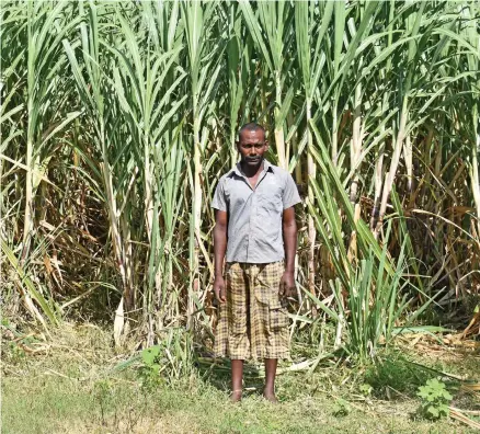  ?? Photo: Shahani Mala ?? Sugarcane farmer Vikash Deo of Nanuku sector in Rakiraki beside his sugarcane farm.