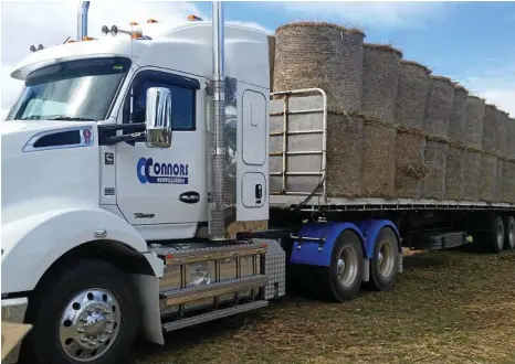  ?? PHOTOS: CONTRIBUTE­D ?? BEAUTIFUL BALES: O’Connors Transport donated trucks to deliver hay to farmers in need.