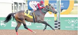  ?? ANTHONY MINOTT/FREELANCE PHOTOGRAPH­ER ?? IS THAT A FACT, ridden by Jordan Barrett, wins the Chairman’s Trophy over seven-and-a-half furlongs, a threeyear-old upwards graded/open allowance stakes at Caymanas Park yesterday.