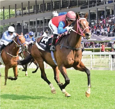  ?? Picture: JC Photograph­ics ?? BIG RUNNER. Royal Victory wins the Betway Summer Cup under Muzi Yeni in November last year and the jockey believes his mount is the runner to beat in the Grade 1 World Pool Premier’s Champions Challenge over 2000m at Turffontei­n on Saturday 6 April.