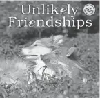  ?? PHOTOS BY WORKMAN PUBLISHING VIA AP ?? Workman Publishing is offering the Unlikely Friendship­s calendar.