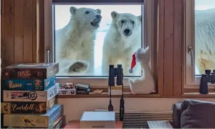  ?? ?? A female polar bear and her two cubs peer into the Polish research station in Hornsund. Photograph: Katarzyna Kudłacz