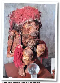  ??  ?? Esta es la momia inca que conserva el zoológico de Pairi Daiza.