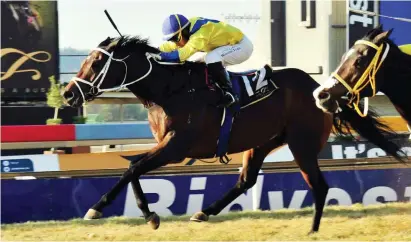 ?? Picture: JC Photograph­ics ?? GUTSY. Yakeen and Muzi Yeni lunge at the line to get up and win the Grade 3 Jubilee Handicap at Turffontei­n yesterday.