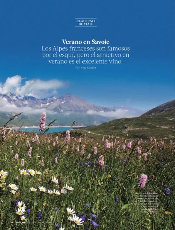  ??  ?? Savoie, una de las regiones más montañosas de Francia, es famosa por sus flores silvestres de verano, como en este campo con vista a las aguas turquesas del lago
del Mont-Cenis.