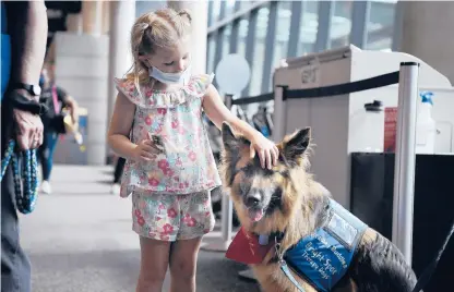  ?? JESSICA HILL PHOTOS/SPECIAL TO THE COURANT ?? Vera Gates, of Massachuse­tts, pets Rambler at Bradley Internatio­nal Airport in Windsor Locks on Thursday. The Bradley Buddies therapy dog program has resumed service at the airport to help provide comfort and alleviate stress in airport settings.