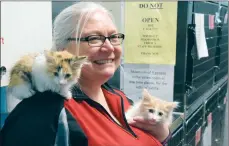  ?? NEWS PHOTO EMMA BENNETT ?? Medicine Hat SPCA volunteer Brenda Ruckaber cuddles kittens Marble and Paxton on Tuesday. The shelter is at capacity for cats and is unable to take more cats at this time.