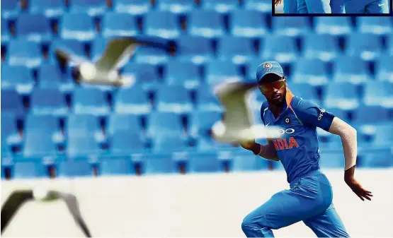 ??  ?? I’m like a bird: Seagulls fly alongside India’s Hardik Pandya as he runs to field the ball during the third One Day Internatio­nal match against West Indies at the Sir Vivian Richards Cricket Ground in St. John’s, Antigua, on Friday. Inset: The Indian...