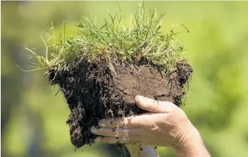  ?? Photo / NZME ?? Soil is “natural capital” that has a huge impact on human life.