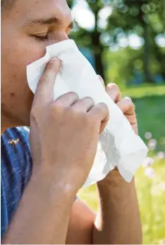  ?? Foto: Christin Klose, dpa ?? Viele Menschen kennen das: Kaum sind ein paar Pollen in der Luft, beginnt das Niesen. Oft kommt auch eine Allergie gegen Lebensmitt­el dazu.