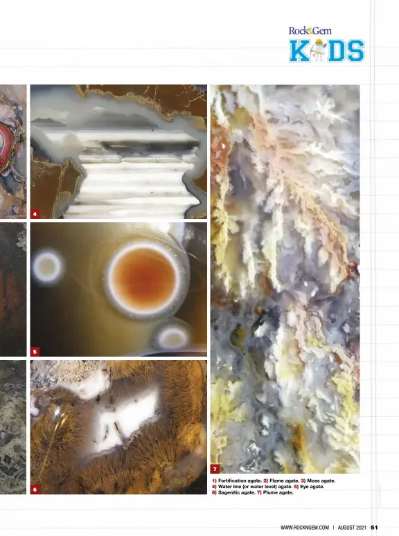  ??  ?? 1) Fortificat­ion agate. 2) Flame agate. 3) Moss agate. 4) Water line (or water level) agate. 5) Eye agate. 6) Sagenitic agate. 7) Plume agate.
