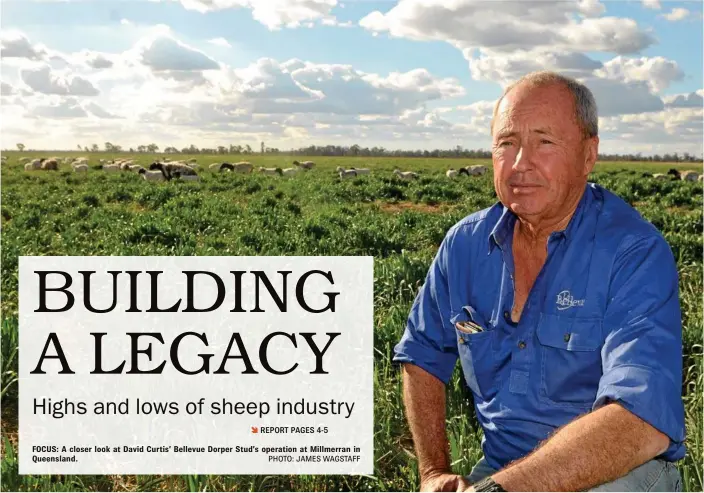  ?? PHOTO: JAMES WAGSTAFF ?? FOCUS: A closer look at David Curtis’ Bellevue Dorper Stud’s operation at Millmerran in Queensland.