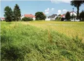  ?? Archivfoto: Alexander Kaya ?? Auf dieser Fläche an der Dillmannst­raße wird der Kindergart­en gebaut.