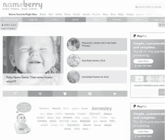  ?? NAMEBERRY VIA AP ?? This screen grab released by Nameberry shows their homepage. The site hosts naming-centric forums, and Pamela Satran blogs regularly about issues related to naming babies.