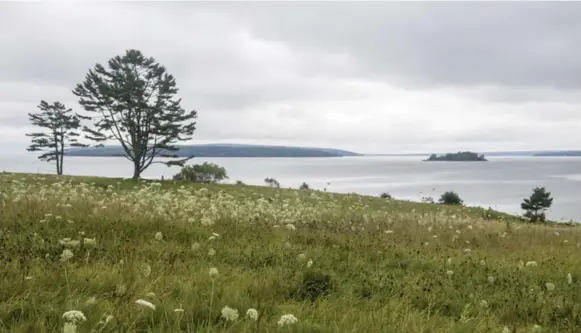  ?? STACEY CRAMP PHOTOS/THE NEW YORK TIMES ?? A view overlookin­g Curtis Cove in East Blue Hill, Maine. The Blue Hill peninsula is a spit of seaboard notable for its rough-hewn splendour that has recently started becoming a writers enclave.