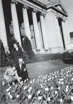  ?? THE COMMERCIAL APPEAL FILES ?? March 21, 1951: Mayor Watkins Overton and two members of his staff slipped away from their work at City Hall to admire the bed of red and white tulips in full bloom on Adams. The tulips are a gift to the mayor from Enschede, Holland. Ann Roth, left, the mayor’s secretary, picks one of the flowers for her boss’s lapel while Louise Archer admires a white tulip in the background.