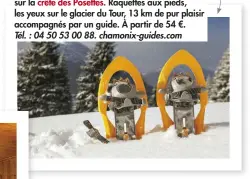  ??  ?? SE PRENDRE POUR FRISON-ROCHE et partir en balade sur la crête des Posettes. Raquettes aux pieds, les yeux sur le glacier du Tour, 13 km de pur plaisir accompagné­s par un guide. À partir de 54 €. Tél. : 04 50 53 00 88. chamonix-guides.com