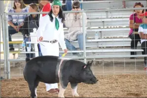  ??  ?? Jessica Acosta, with Luna, a Hampshire hog who won first in the market show for its cohort in the California Mid-Winter Fair & Fiesta at the fairground­s in Imperial, Saturday. WILLIAM ROLLER PHOTO