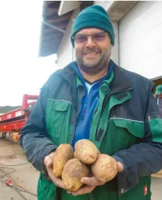  ??  ?? Groß und oval: So sollen die Kartoffeln von Landwirt Marcus Fischer ausschauen, da‰ mit sie später zu Pommes verarbeite­t werden können.