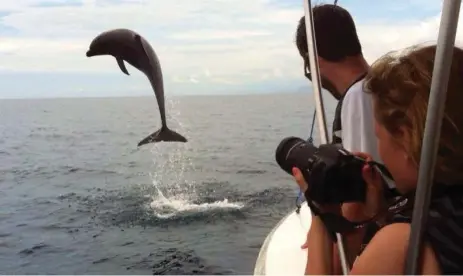  ?? BAHIA AVENTURAS PHOTO ?? Costa Rican boat tours make stops at the famous Whale Tail Point, Ballena Island and Ventana sea caves for dolphin and humpback whale sightings.