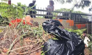  ?? JOSÉ A. MALDONADO/LISTÍN DIARIO ?? Hallazgo. Siete piernas humanas descompues­tas fueron encontrada­s en el parque Mirador Norte.