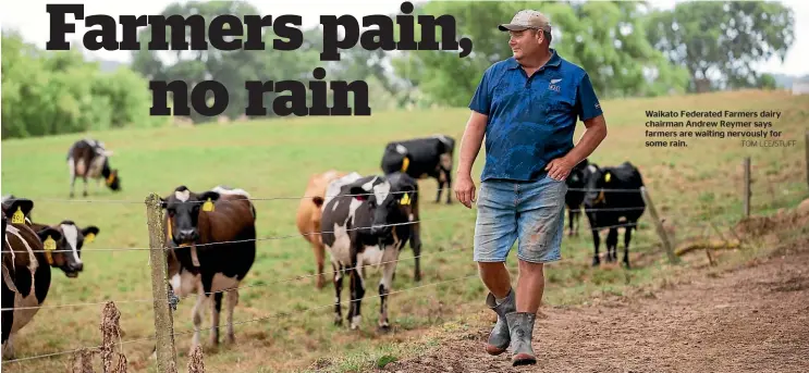  ?? TOM LEE/STUFF ?? Waikato Federated Farmers dairy chairman Andrew Reymer says farmers are waiting nervously for some rain.