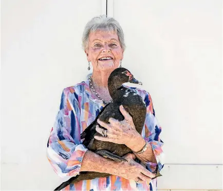  ?? BRADEN FASTIER/NELSON MAIL ?? Carol Ercolano holding Opal, the Nelson SPCA’s resident duck, has been added to the SPCA’s National Hall of Fame.
