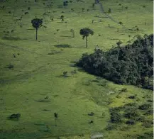 ?? Lalo de Almeida/Folhapress ?? Desmatamen­to na região de Alta Floresta, em Mato Grosso