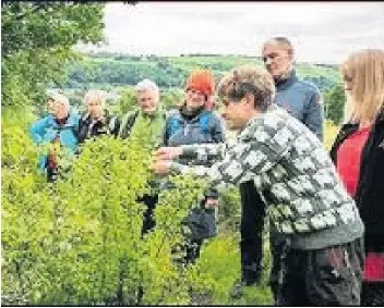  ??  ?? The great outdoors
The Foraging Fortnight aims to get locals out and about in Lanarkshir­e