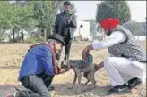  ?? HT PHOTO ?? Director general (archaeolog­y and museums) Praveen Kumar (left) treating a stray dog at the police lines in Sirsa on Thursday. The dog had some skin infection.