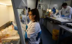  ??  ?? CONTROL: Testing Covid-19 samples at the UCD National Virus Reference Laboratory in Dublin. Photo: Mark Condren