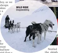  ??  ?? WILD RIDE
Dogsleddin­g