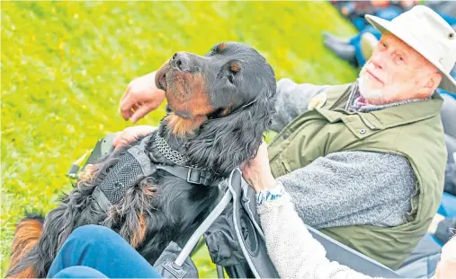  ??  ?? MAN’S BEST FRIEND: John Cobs from Portsmouth visited the parade of the endangered breed with his 14 month-old Gordon setter