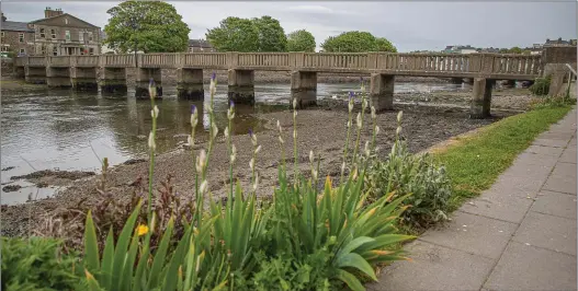  ??  ?? Parnell Bridge, Wicklow Town.