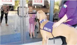  ?? CANINE ASSISTED THERAPY ?? Dalis, a 4-year-old Great Dane, accompanie­d by her owner, stops for a window visit at an assisted living facility in March. The dog remained outside because of visiting restrictio­ns due to COVID-19.