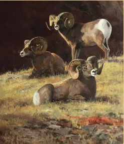  ??  ?? Ken Carlson, Bachelor Bighorns, oil on board, 30 x 26”