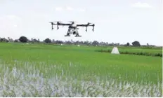  ?? — Reuters ?? A customized DJI Agras MG-1S drone flies over a rice field during a training flight, as part of a test in using drone technology in the fight against malaria, near Zanzibar City.