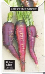  ??  ?? Afghan purple carrots