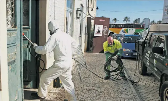  ??  ?? Desenvolvi­mento urbano tem feito aumentar a prevalênci­a de pragas que podem pôr em causa a saúde pública