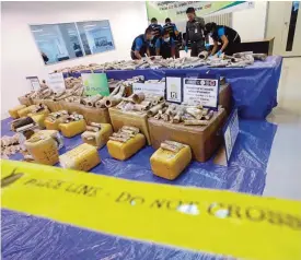  ??  ?? BANGKOK: Thai police forensic officers collect DNA sample of ivory after a press conference at Customs Suvarnabhu­mi airport in Bangkok, Thailand, yesterday. —AP