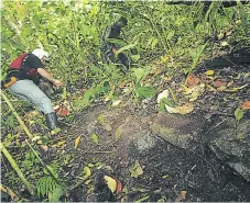  ??  ?? EL HERALDO se trasladó en 2012 hasta el sitio donde se esconden los vestigios de la cultura milenaria.