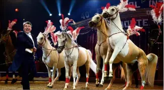  ??  ?? Les chevaux – ici en  ceux de Flavio Togni – font toujours sensation sous le chapiteau de Fontvieill­e et ils seront les vedettes de cette e édition. (Photo Jean-François Ottonello)