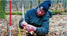  ?? Foto: Michael Ammich AELF ?? AELF-Förster Tim Greis bei der Aufnahme eines Bäumchens auf einer Verjüngung­sfläche im Donauwörth­er Stadtwald. Kaum eine Forstpflan­ze auf dieser Fläche ist ohne sichtbare Schäden.