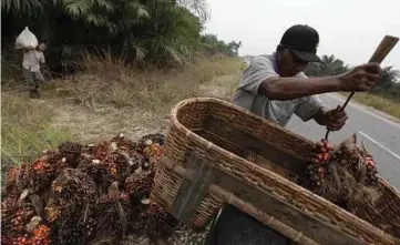  ?? PIC BLOOMBERG ?? The European Union is the second-largest market, behind India, for Indonesian palm oil, which accounted for around 12 per cent of the country’s exports in 2017, according to government data.