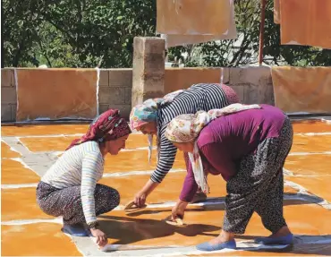  ??  ?? 4 Üzüm pestiline Gaziantep yöresinde “bastık” denir. Bastık, saten kumaşa sürüldükte­n sonra iki-üç gün damda kurutulur.
Dried fruit roll-up is called “bastık” in and around Gaziantep. After it is spread on a sateen sheet, “bastık” is dried on rooftops for 2-3 days.