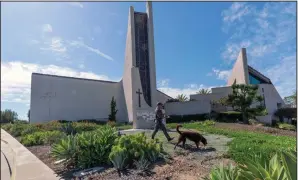  ?? (AP/Damian Dovarganes) ?? An Orange County Sheriff’s Department K-9 unit checks the grounds Sunday at Geneva Presbyteri­an Church in Laguna Woods, Calif., after a fatal shooting.