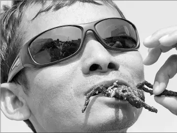 ??  ?? A Cambodian man eating a fried tarantula.